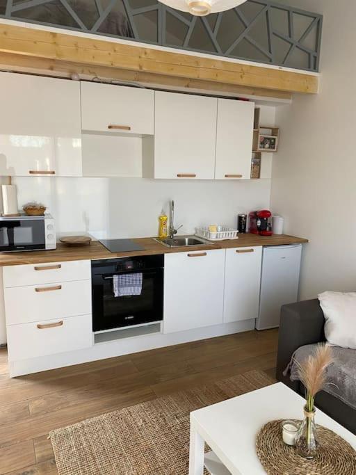 Logement Avec Mezzanine Tremblay-en-France Εξωτερικό φωτογραφία